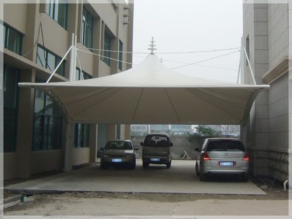 Ĥ�Y���S���v��Ĥ�Y���P�I�����c֪�R