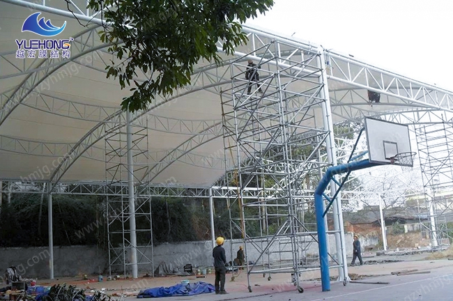 䓘������b01